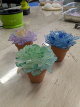 09/18/24 at 5:30 pm Sea Glass Workshop - Trees and Succulents at Vanished Valley Brewing