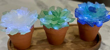 09/18/24 at 5:30 pm Sea Glass Workshop - Trees and Succulents at Vanished Valley Brewing