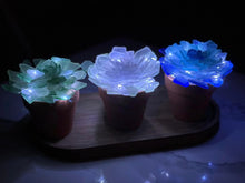 09/18/24 at 5:30 pm Sea Glass Workshop - Trees and Succulents at Vanished Valley Brewing